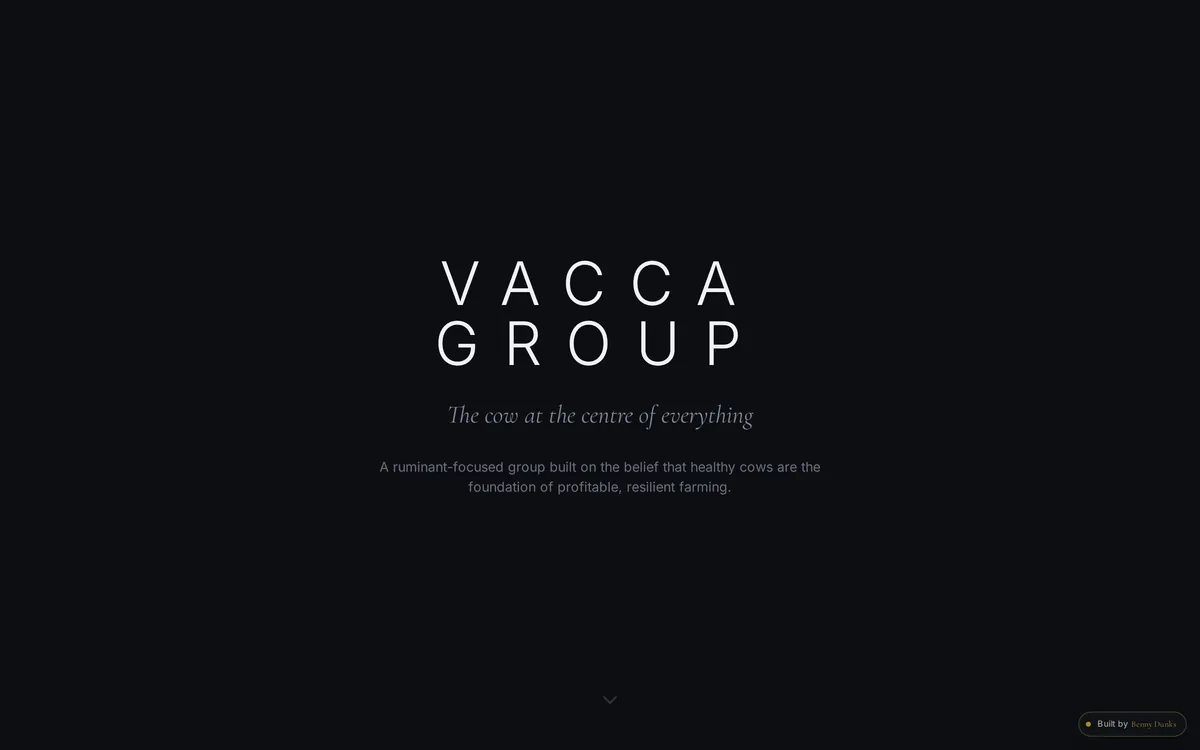 Screenshot of the Vacca Group website homepage, the parent brand site for the Vacca companies built by Benny Dunks.